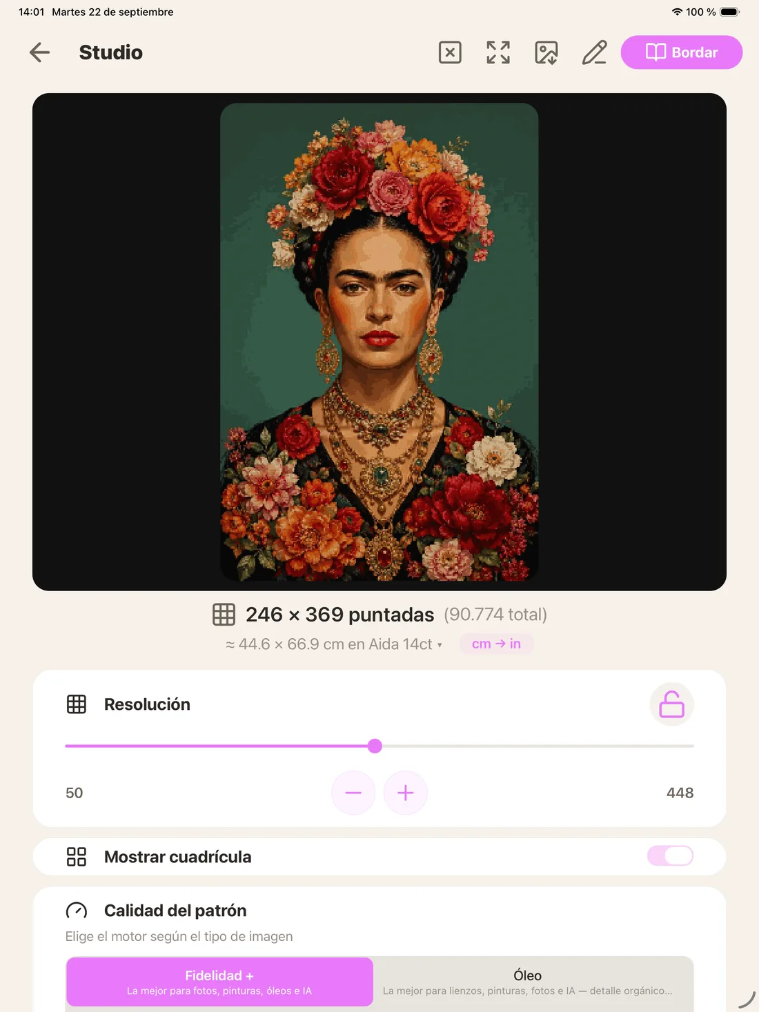 Pattern Studio con un retrato ya convertido en patrón: 246 × 369 puntadas, 44,6 × 66,9 cm en Aida 14ct, el control de resolución y el selector de calidad del patrón.